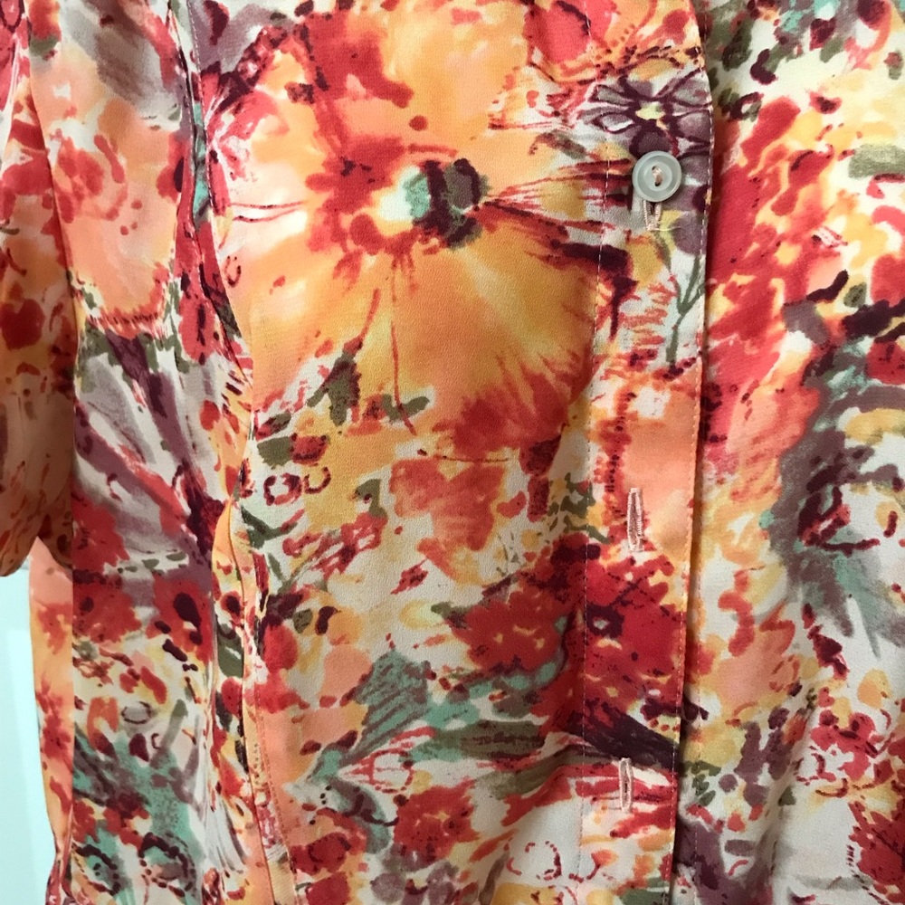 Fall Colored Button Down Sheer Blouse